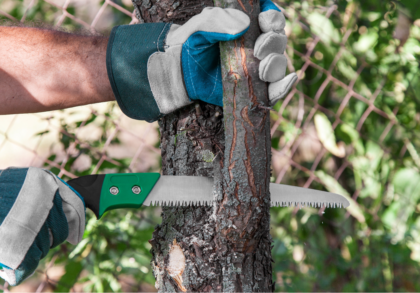 Tree Trimming for Kingdom Come Landscaping - cutting tree branch off.